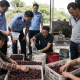 Realistic editorial image of bayberries in crates at a rural Fujian collection point during a food safety investigation.