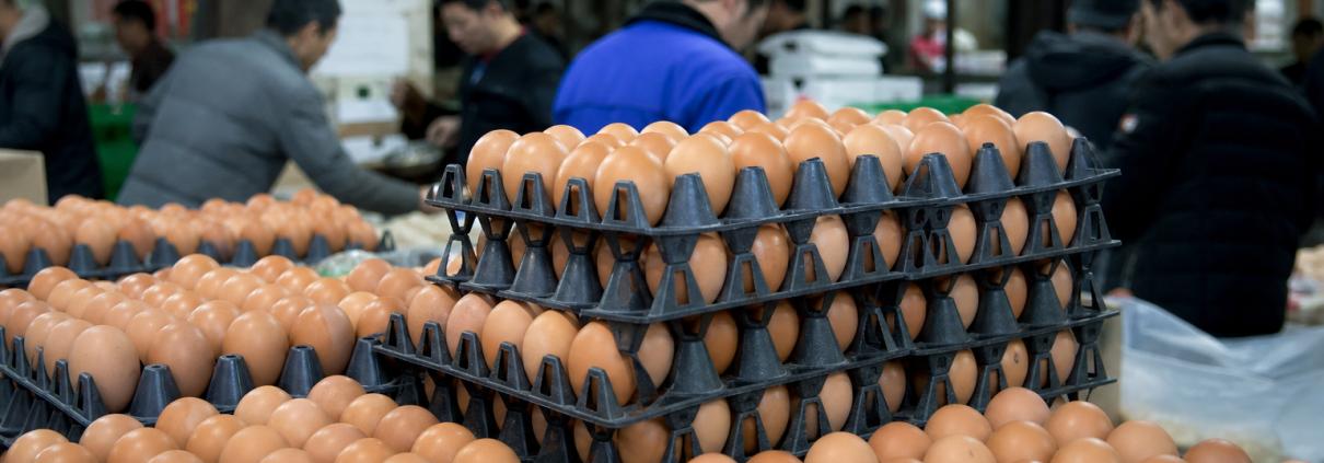 Trays of eggs stacked at a wholesale food market in China.